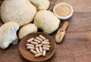 Benefícios do Lion's Mane para o Cérebro
