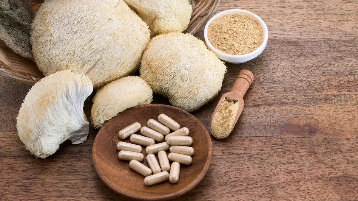 Benefícios do Lion's Mane para o Cérebro