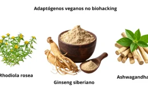 Suplementos veganos mais recomendados por biohackers