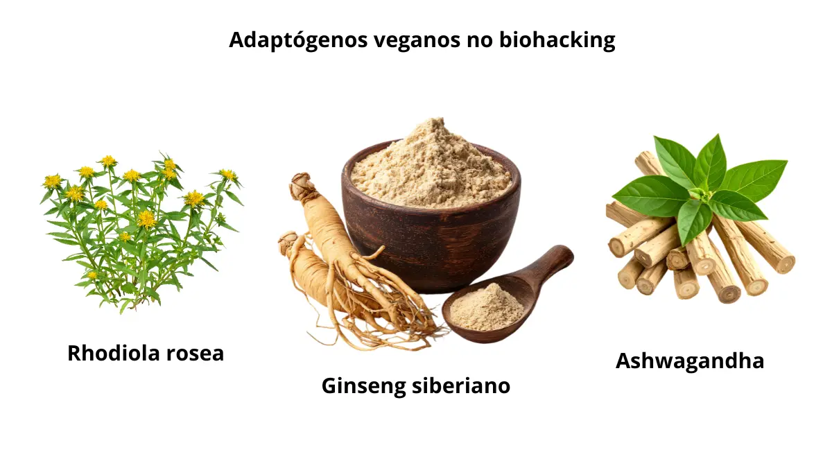 Suplementos veganos mais recomendados por biohackers