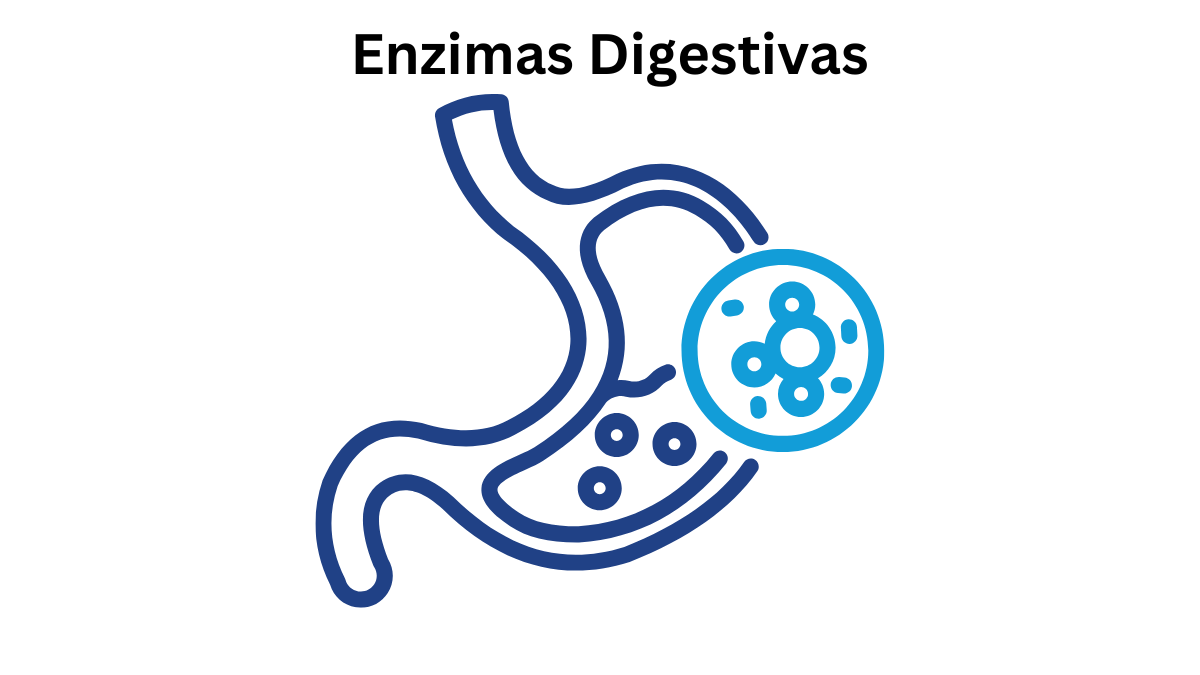 melhorar a saúde intestinal com suplementos veganos